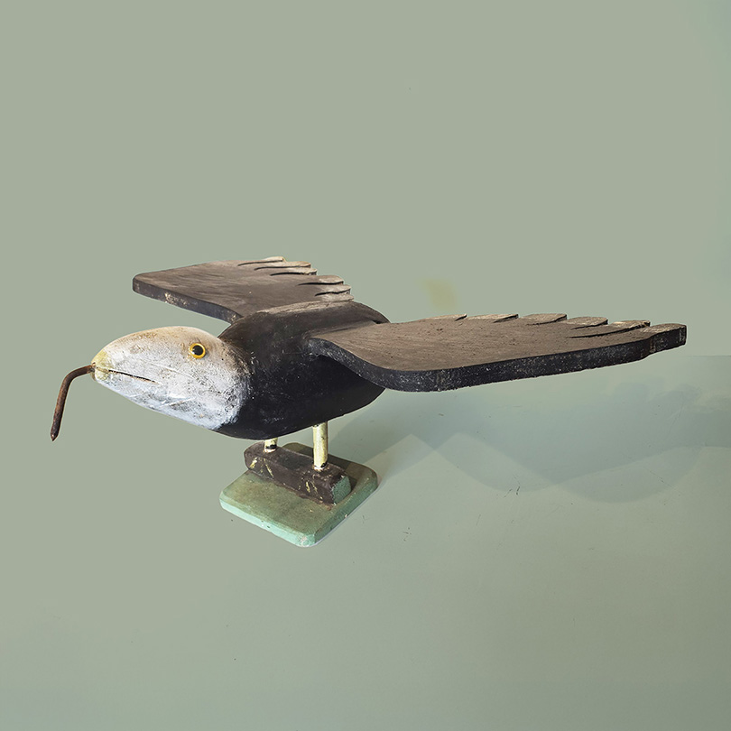 Sid Howard Eagle With Worm