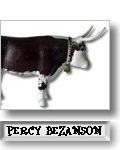 Percy Bezanson