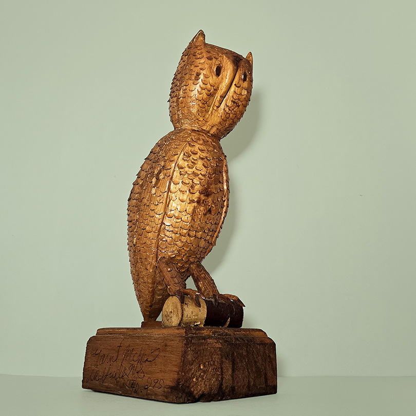 Spotted Horned Owl