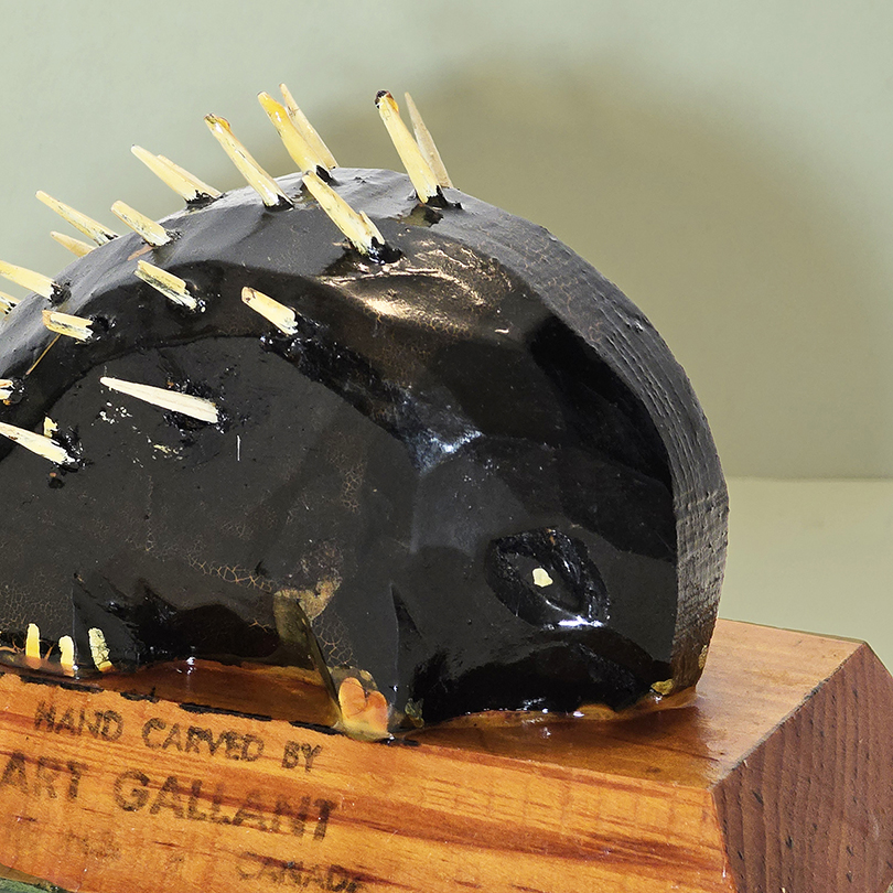 Porcupine