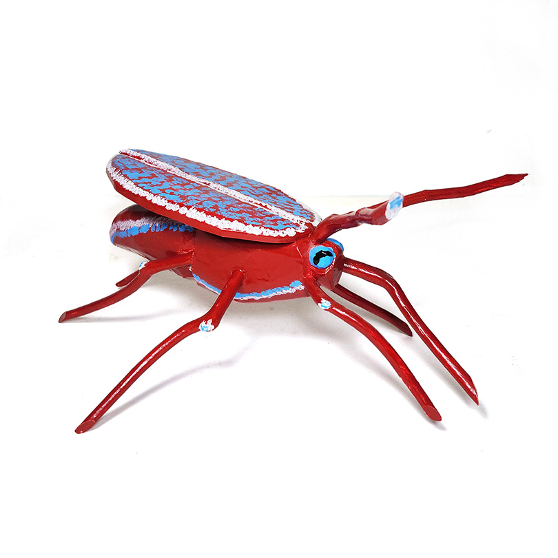 Ransford Naugler Red Bug