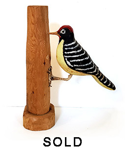 Walter Myette Woodpecker